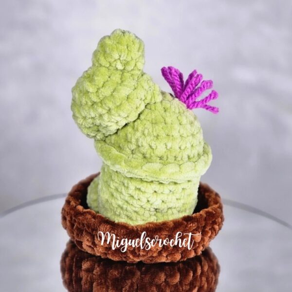 Mini Cactus Wiwi Crochet Pattern | PDF Download!