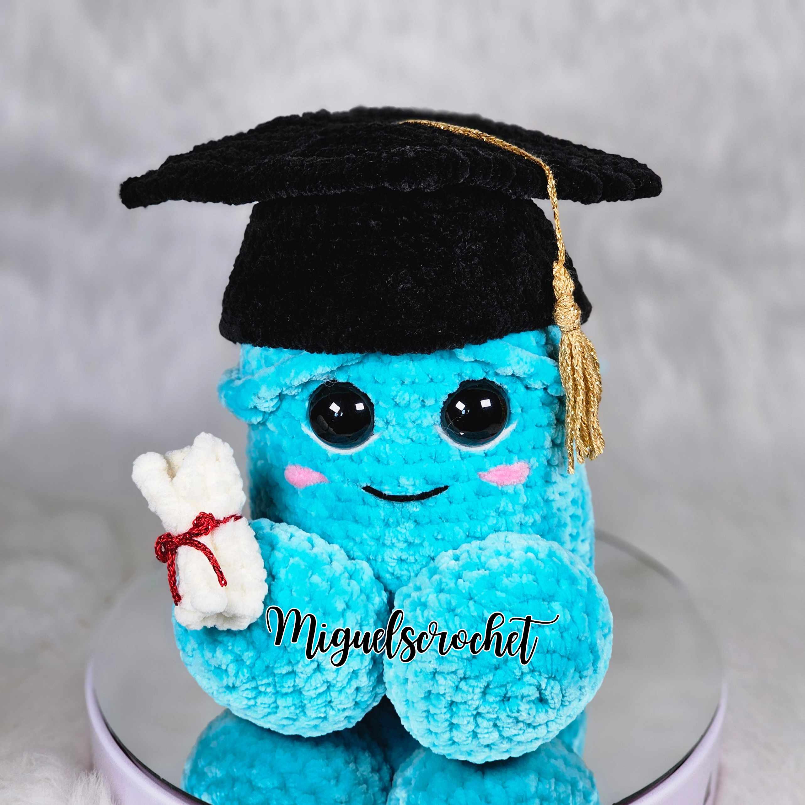 Graduation Wiwi Crochet Pattern Mod | PDF Download!