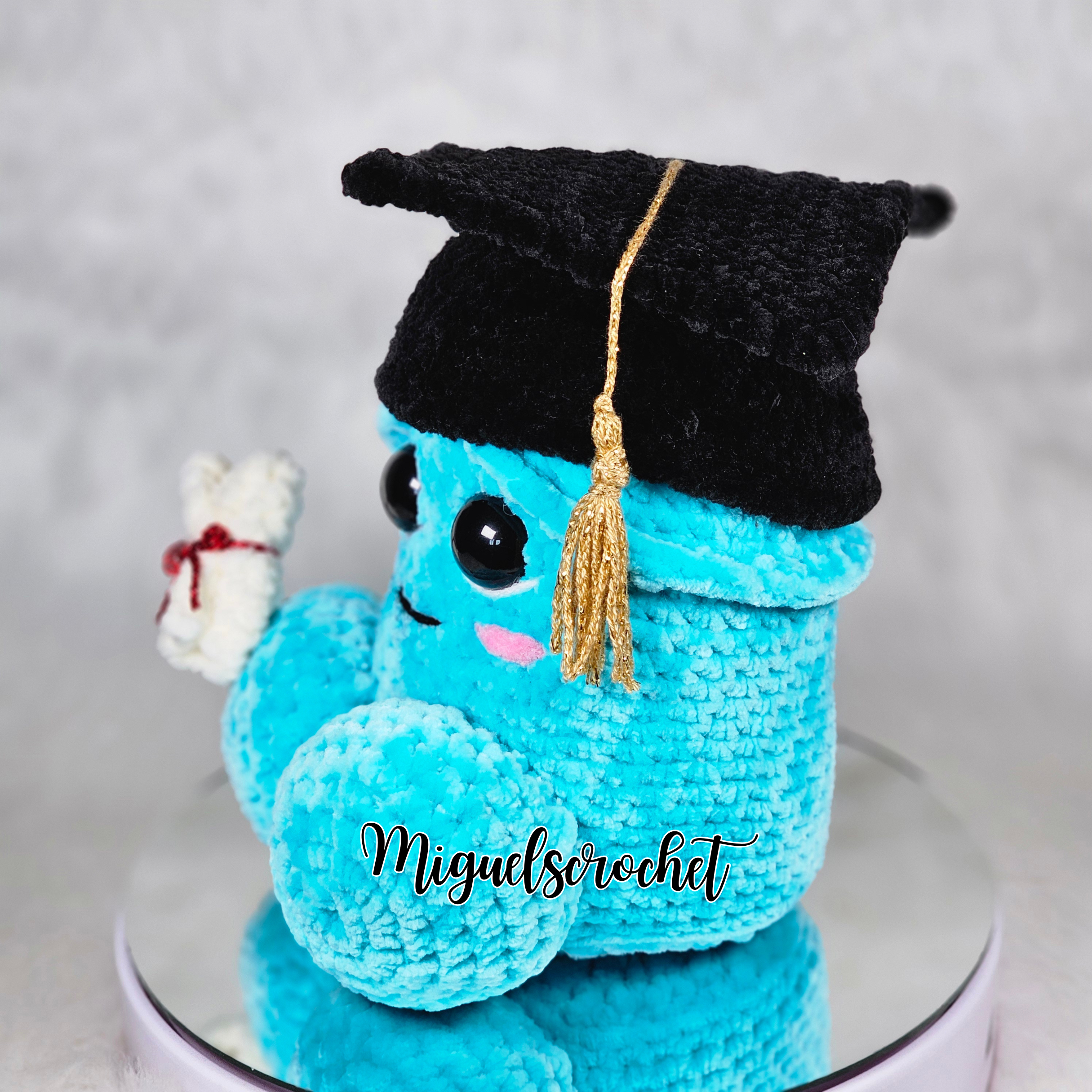 Graduation Wiwi Crochet Pattern Mod | PDF Download!